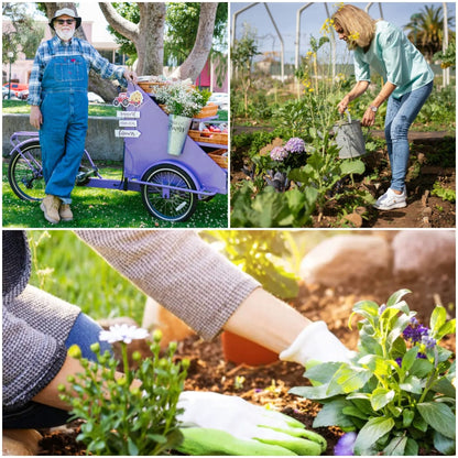 Purple Creeping Thyme Seeds for Planting Non-GMO